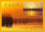 寧夏加氣磚設(shè)備價(jià)格